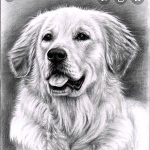 Meet your Posher, Harmeet